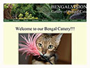 BengalVision Cattery of Bengal Cats